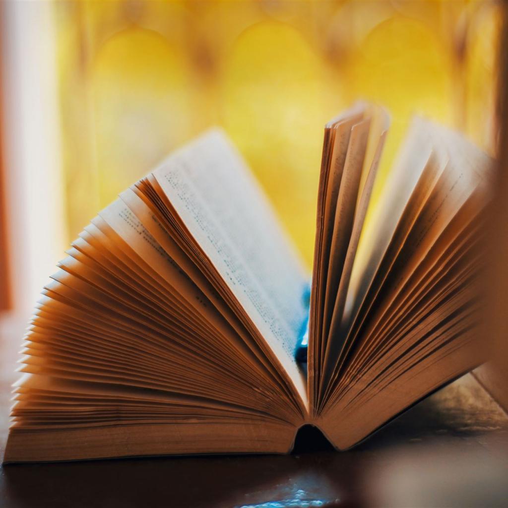 Geöffnetes Buch