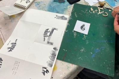 GuerteltierUndChamaeleon