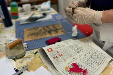 LilisBekroenteKraehe